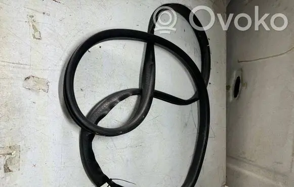 Smart ForFour II W453 Front door rubber seal 