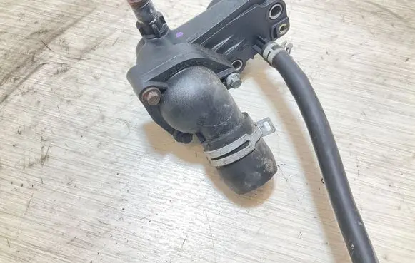 Thermostat/thermostat housing
