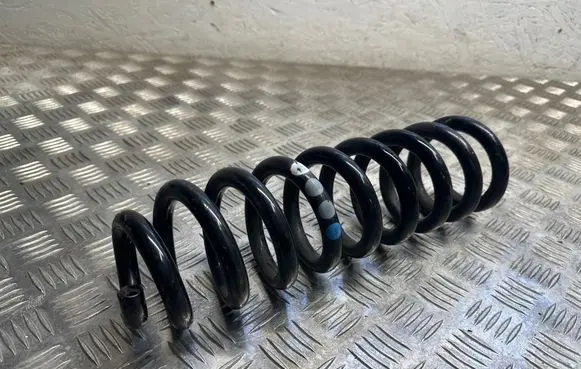 Rear coil spring