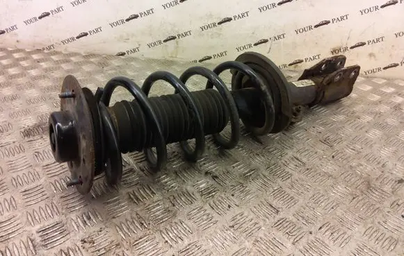 Chevrolet Captiva Front shock absorber with coil spring SA010B004