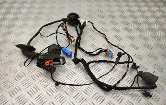 Front door wiring loom