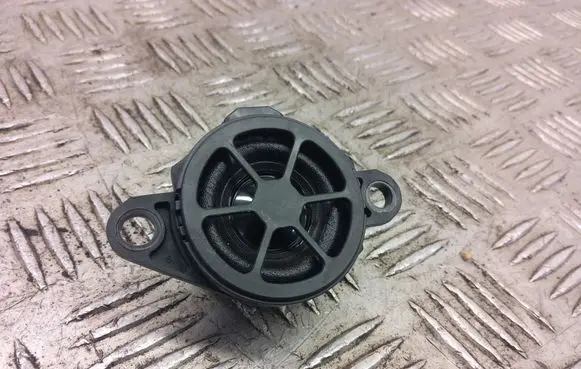 Nissan Qashqai J12 Panel speaker 248326RA0A