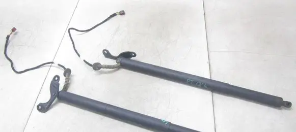 Tailgate/trunk strut/damper