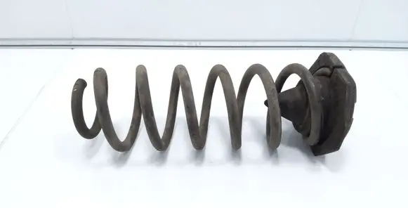Nissan Qashqai Rear coil spring