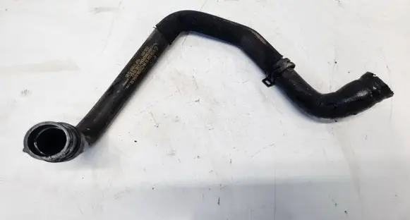 Mercedes-Benz A W169 Engine coolant pipe/hose A1698301696