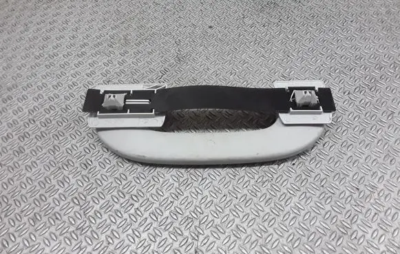 Mercedes-Benz A W169 Rear interior roof grab handle A1698100251
