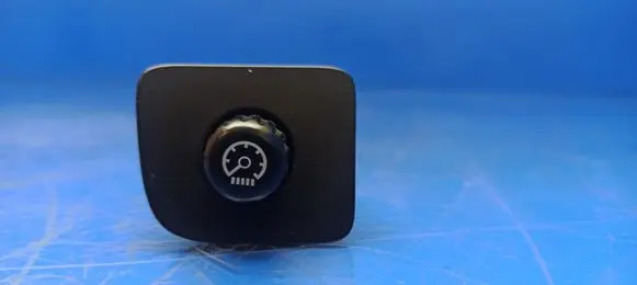 Panel lighting control switch