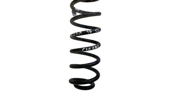 Volkswagen Tiguan Allspace Rear coil spring 5QN511115D