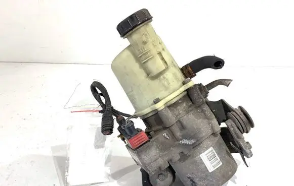 Dacia Duster II Power steering pump 491107773R