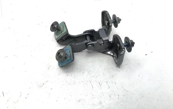 Tailgate/trunk/boot hinge