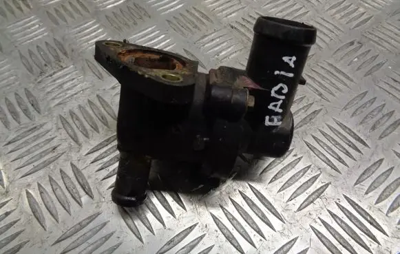 Thermostat/thermostat housing