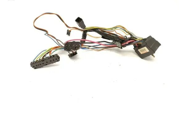 Front door wiring loom