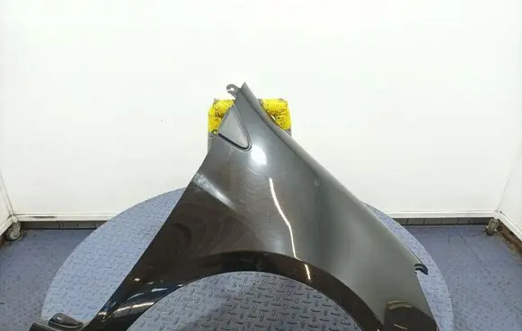 Renault Clio III Fender