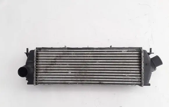 Renault Trafic II (X83) Intercooler radiator 8200411160