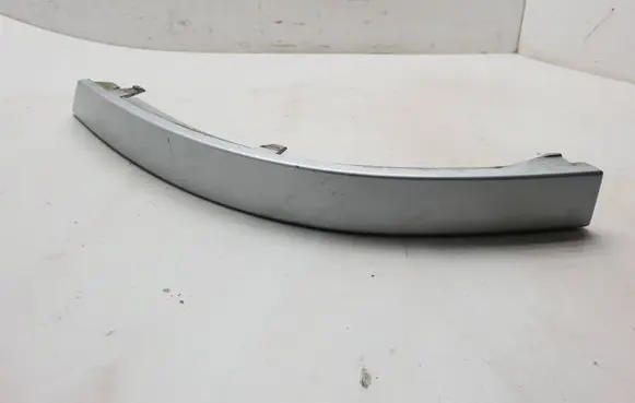 Rear/tail light trim molding