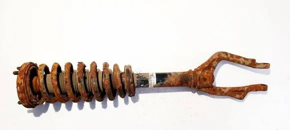 Honda Accord Front shock absorber/damper 