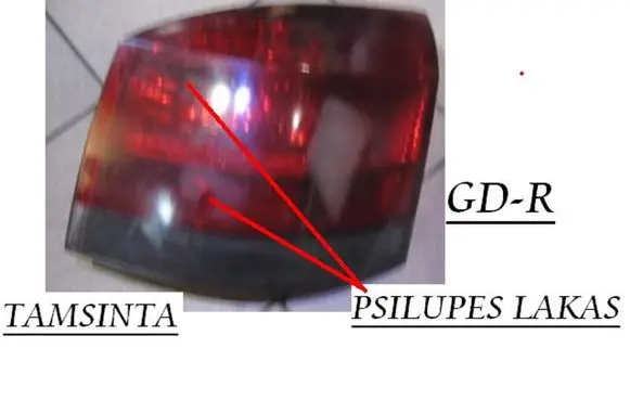 Opel Signum Rear/tail lights 13159862