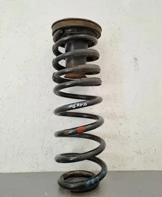 Ford Transit - Tourneo Connect Rear coil spring