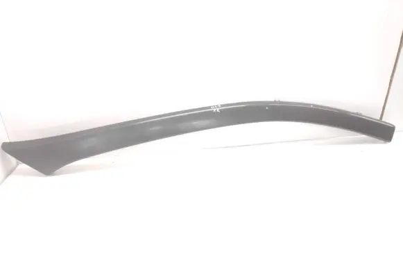 Front door trim (molding)