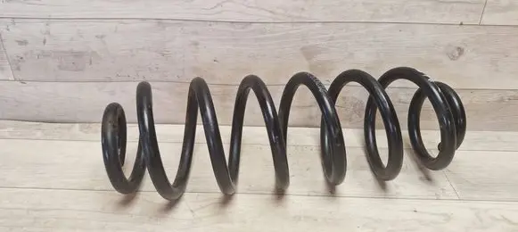 Volkswagen PASSAT B6 Rear coil spring