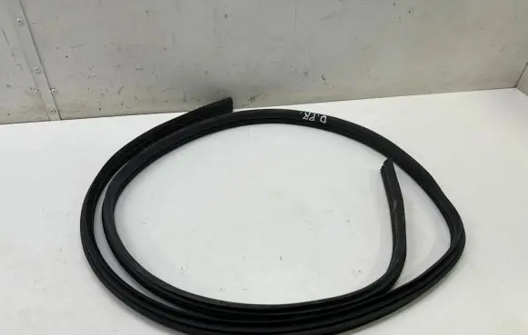 Dacia Spring Front door rubber seal