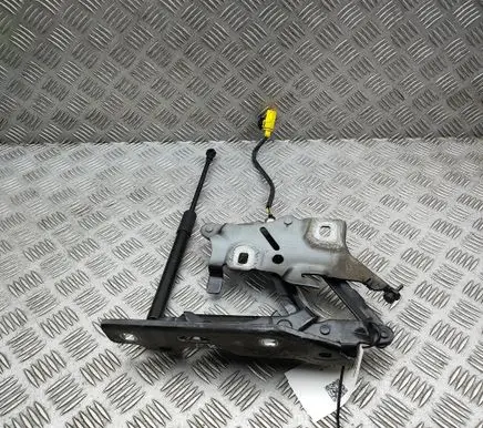 Audi A5 Engine bonnet/hood hinges 8W6823823 8W0823359B