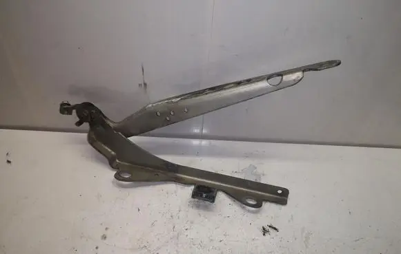 Volvo V70 Tailgate/trunk/boot hinge 30745018