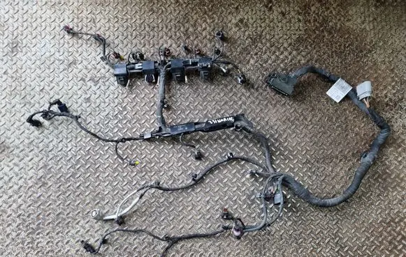 Engine installation wiring loom