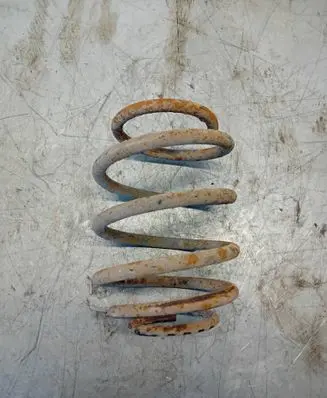 Rear coil spring