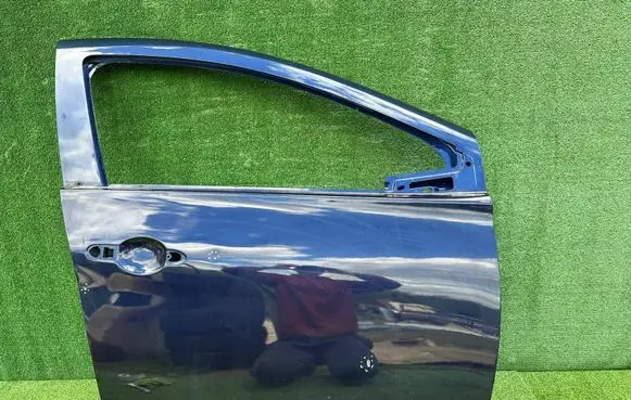 Renault Zoe Front door 801521112R