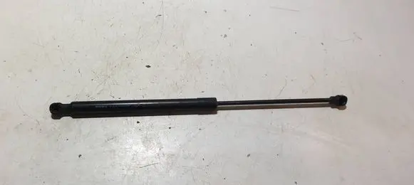Tailgate/trunk strut/damper