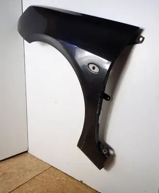 Peugeot 307 Fender