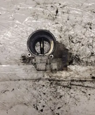 Volkswagen Golf V Throttle valve A2C53099815