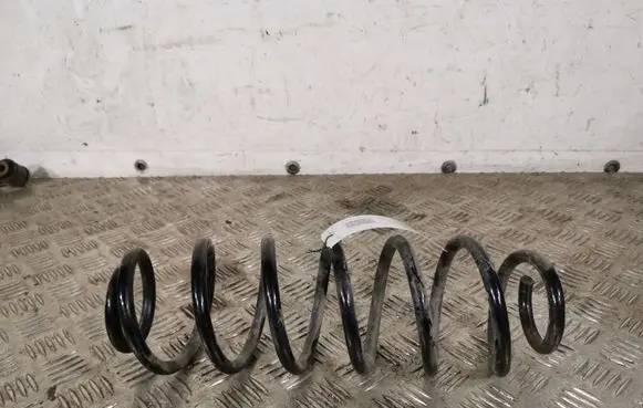 Opel Crossland X Rear coil spring 2719AI