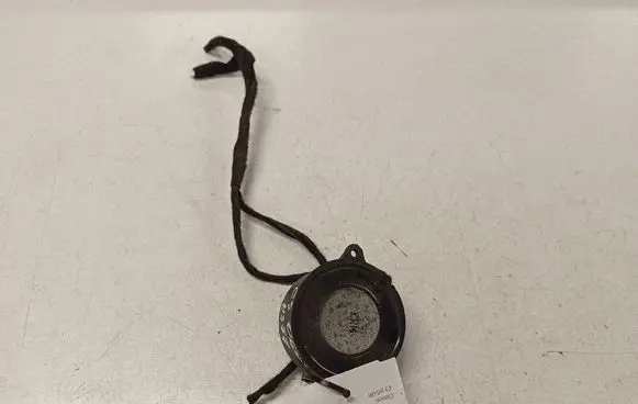 Citroen C5 Alarm system siren