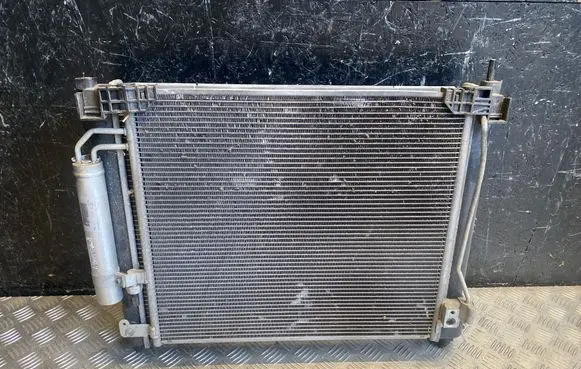 Nissan Juke I F15 Coolant radiator 21410BA61A