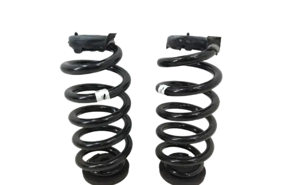 Volkswagen ID.4 Rear coil spring 1EA511103H