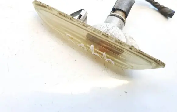 Front fender indicator light