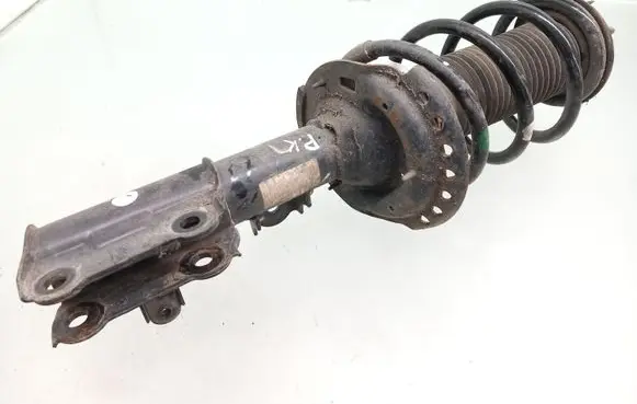 Hyundai i10 Front shock absorber with coil spring