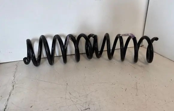 Dodge Charger Rear coil spring 25591F 68391331AB 1331AB