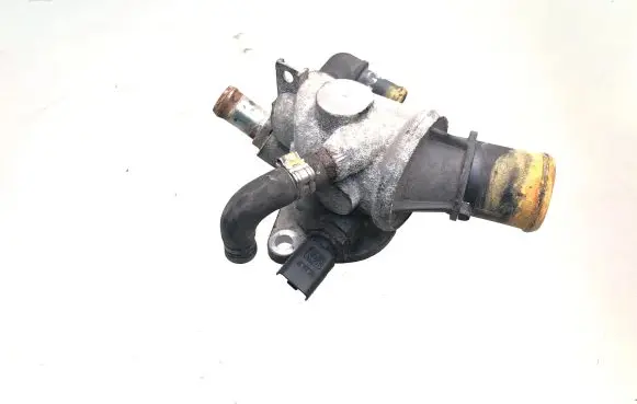 Thermostat/thermostat housing