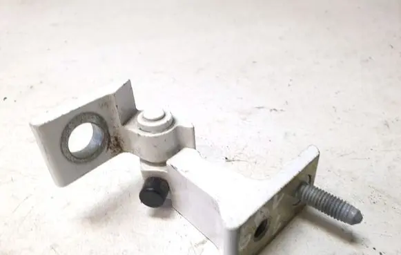 Rear door lower hinge