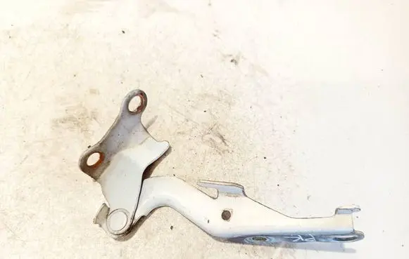 Toyota Hilux (AN10, AN20, AN30) Engine bonnet/hood hinges