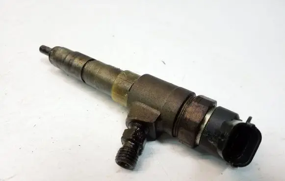 Citroen C3 Fuel injector 0445110340