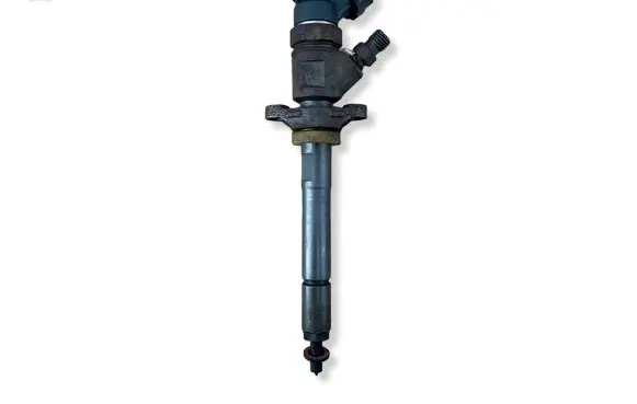 Citroen C4 I Picasso Fuel injector 0445110311 ESED7