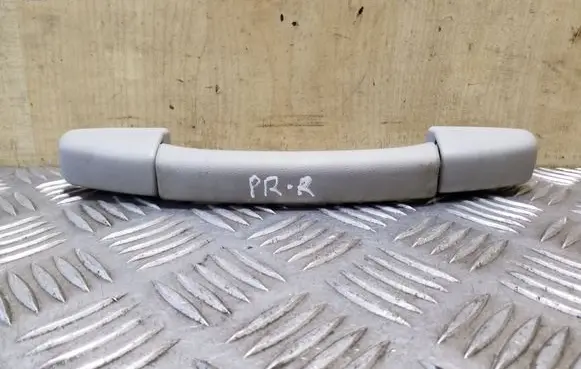 Front interior roof grab handle