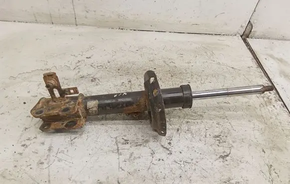 Opel Zafira B Front shock absorber/damper 22214012 24466546 644609745