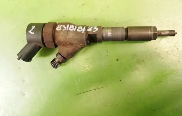 Citroen C5 Fuel injector