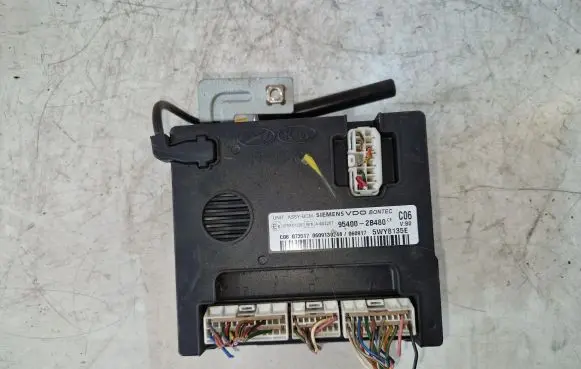 Hyundai Santa Fe Immobilizer control unit/module 954002B480