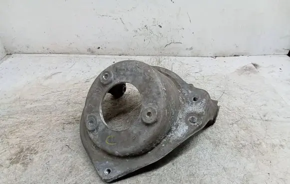 Coil spring mount